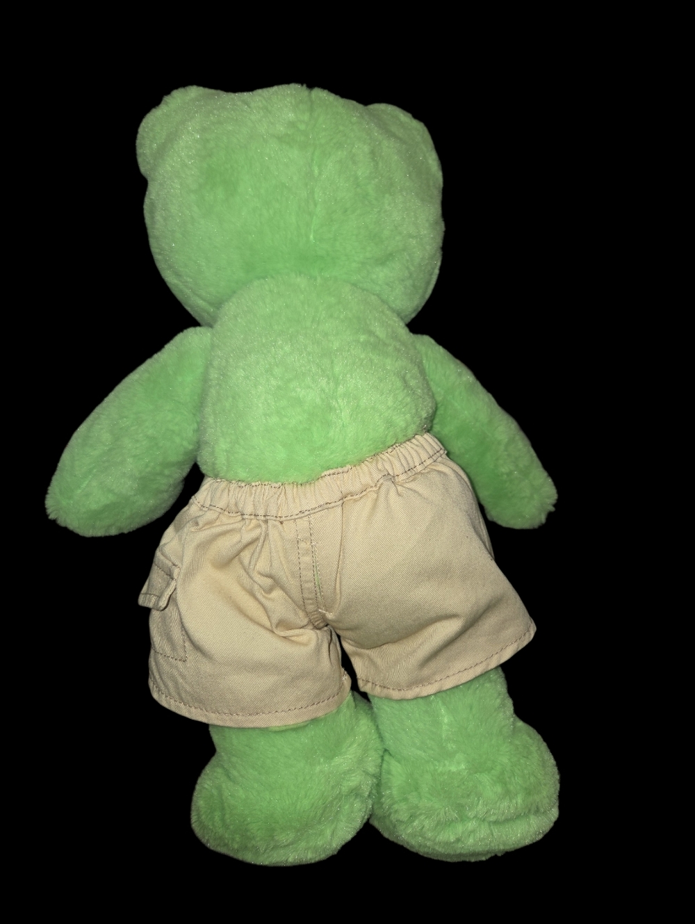 Build-A-Bear Frog - Picture 4 of 5